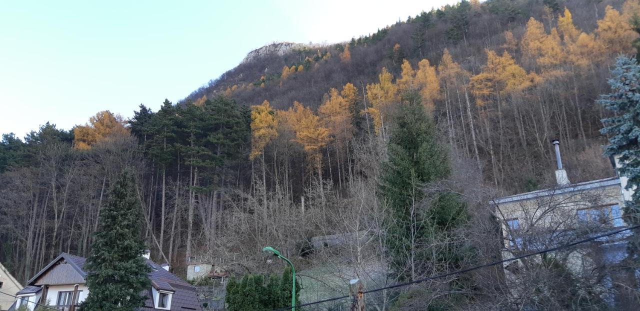 Brasov Valley Apartment Luaran gambar